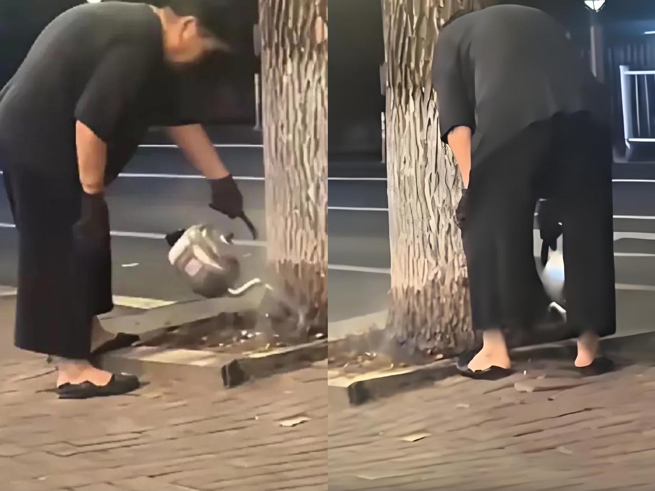 小区里天天给银杏树“浇水”的老太，竟藏着这么恶毒的心思！起初邻居们还笑着跟她打招