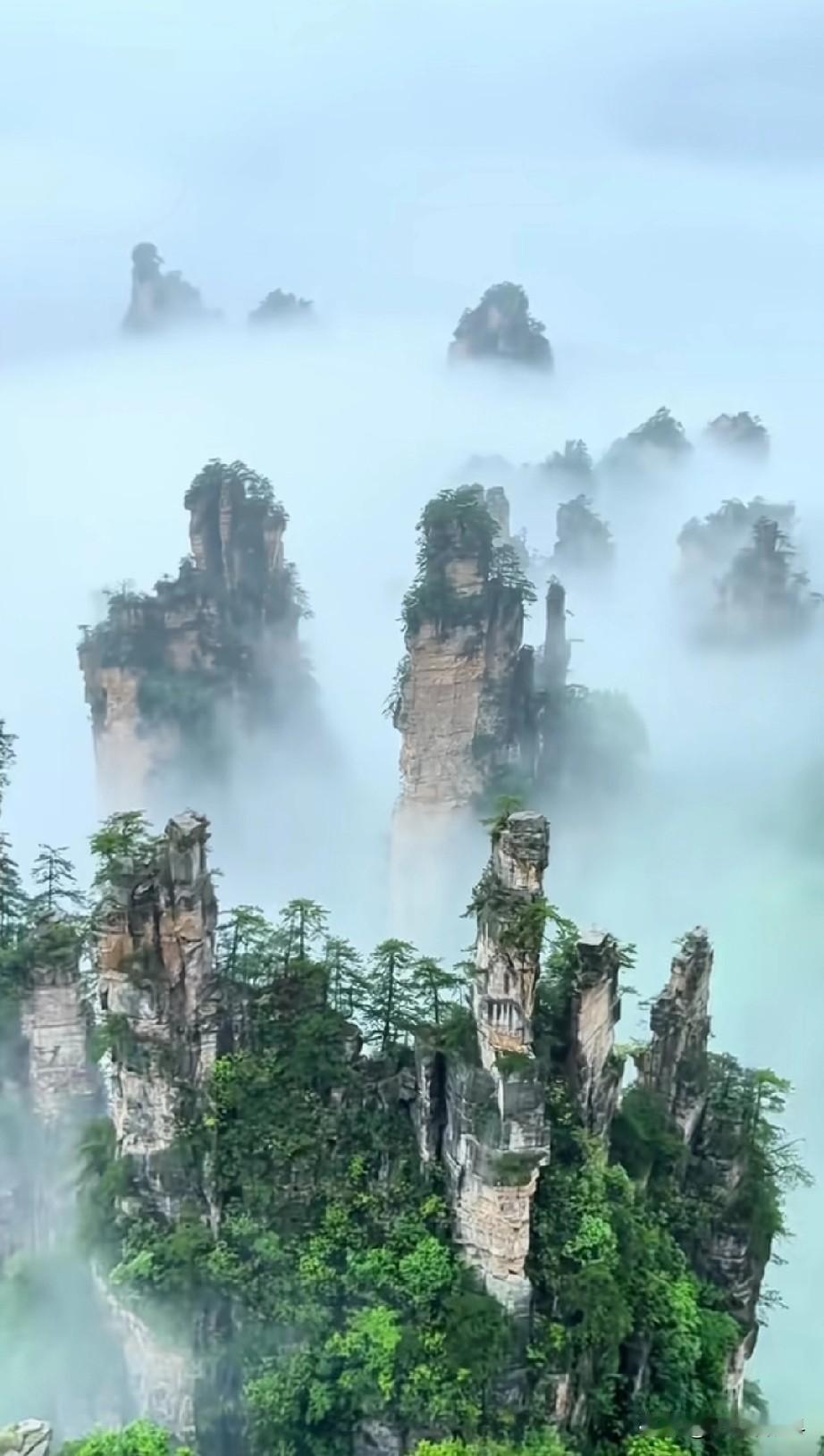 胃癌手术后，到现在才知道为什么医生叮嘱要按时复查？以前胃癌手术后，以为定期复查