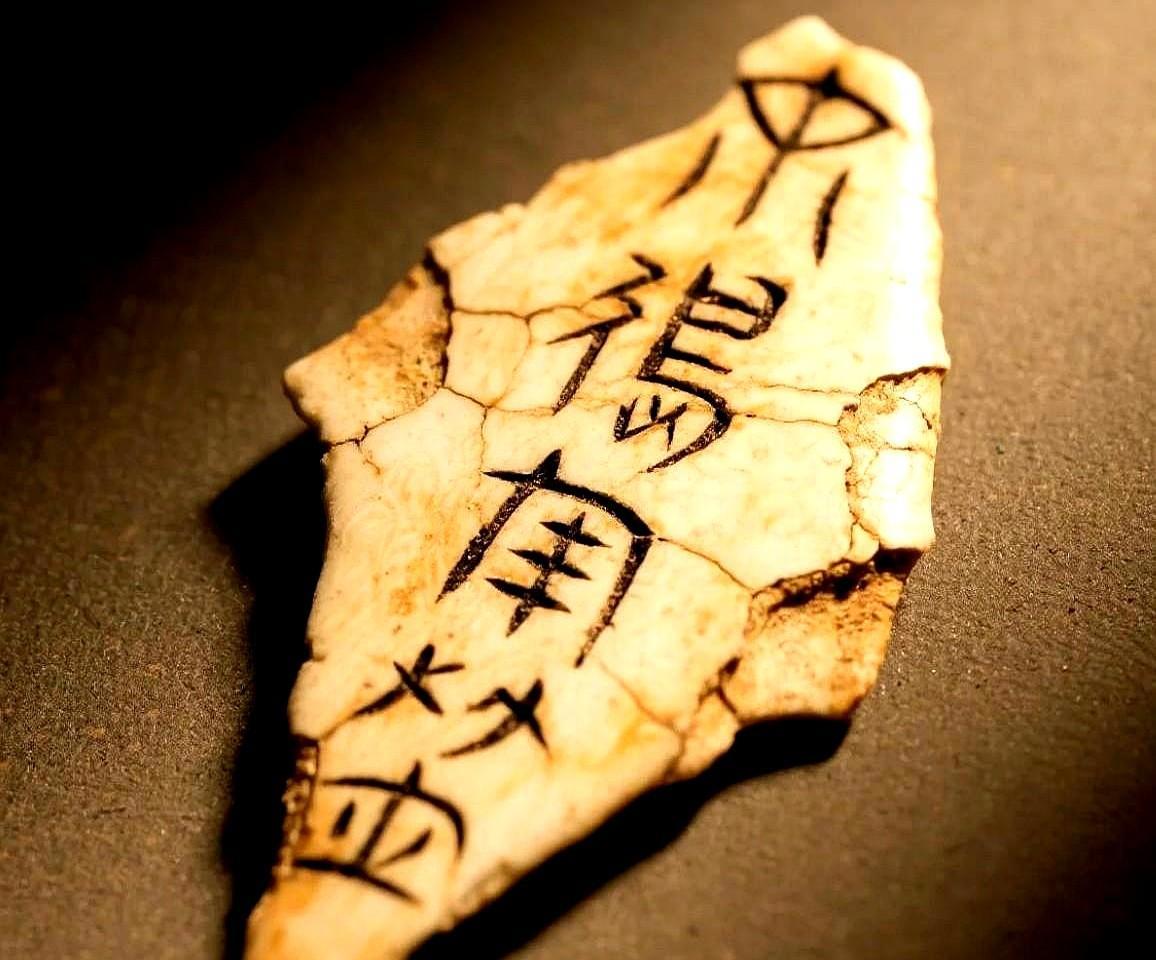 首尔大学历史系教授朴某在学术会议上宣称：