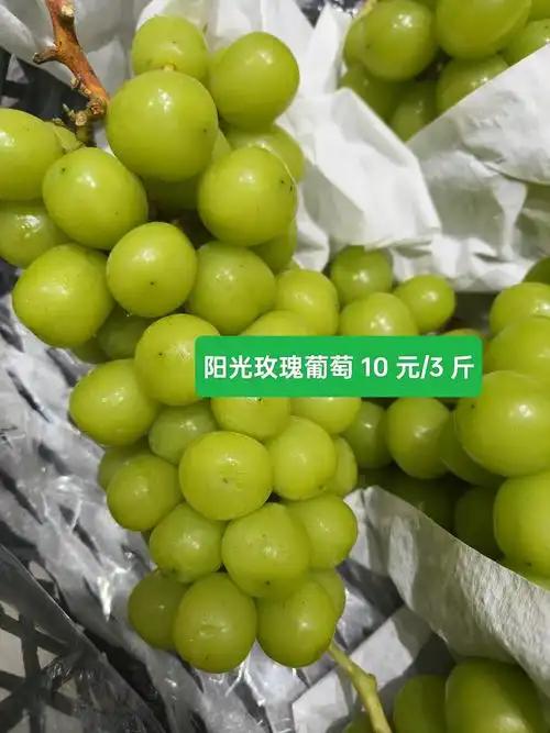 曾经100元一斤，水果爱马仕为何跌成白菜价？2016年阳光玫瑰国内种植面