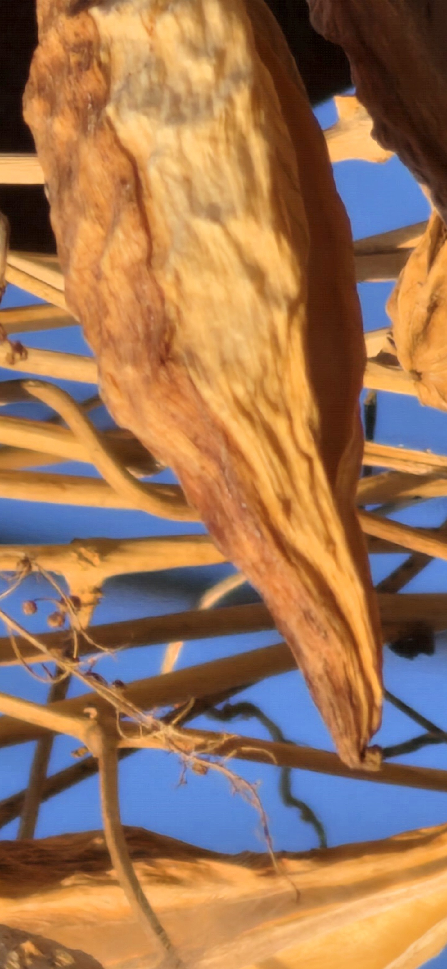 同样的放大之后。第一张是三星S26Ultra的处理方式，模糊就模糊第二张是另一