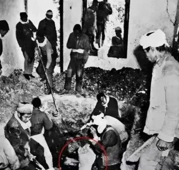 1949年重庆解放后，工作人员在戴笠生前警卫处附近的泥土里，刨出了遇害的小萝卜头