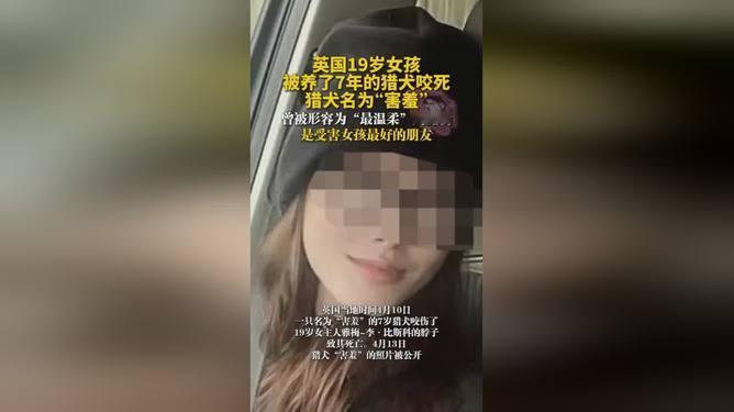 你缺爱吗？养条狗吧！看似调侃的话，其实戳中了很多人的心声。相对于人性的复杂来