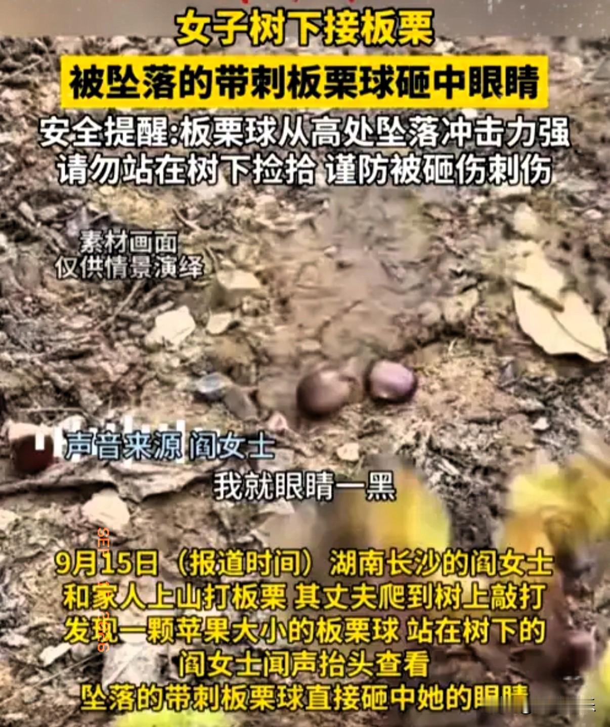 太吓人了！据光明网9月15日报道，阎女士跟着家人到山上打板栗。丈夫爬上树，拿着