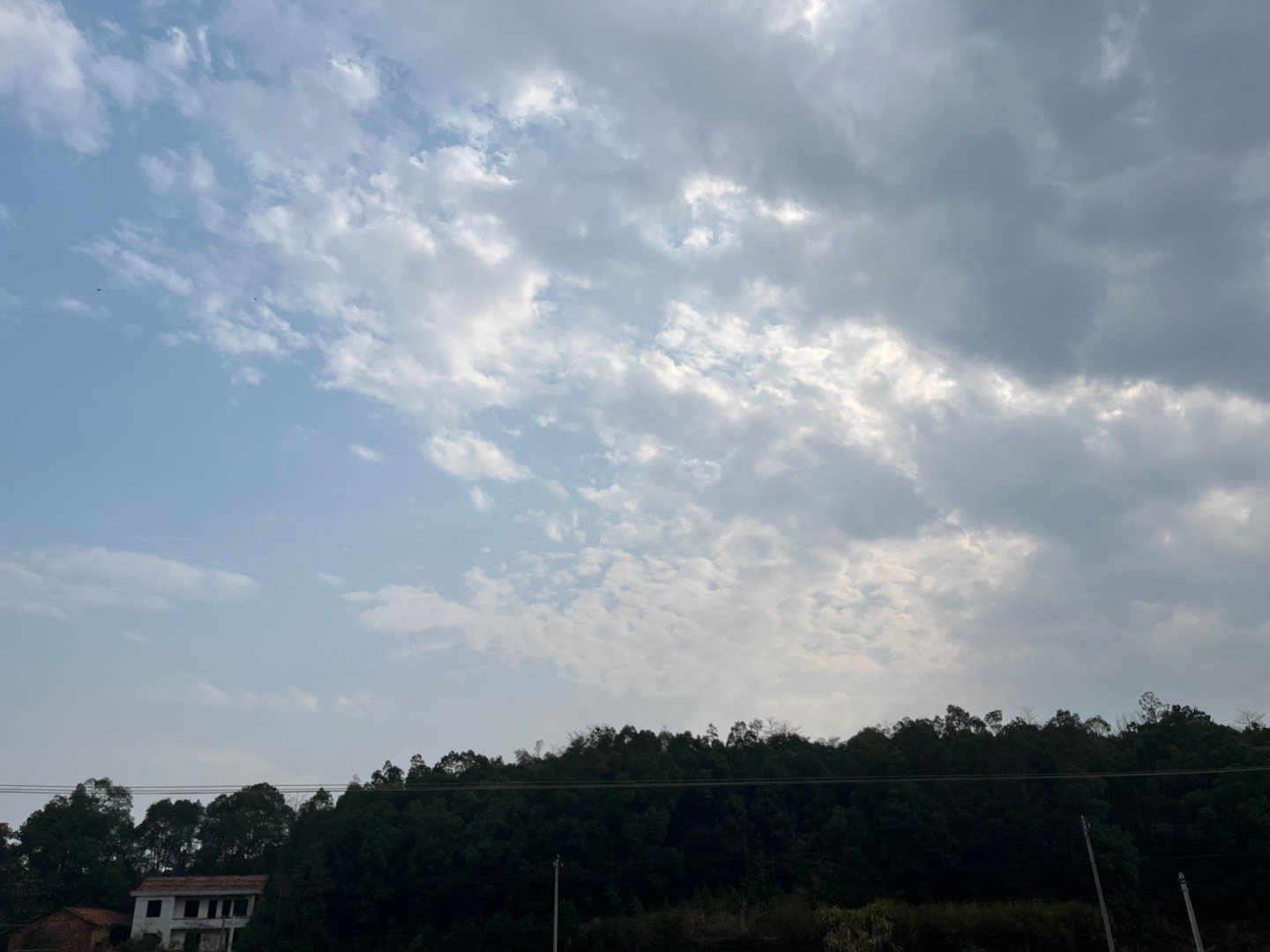 过年真正有分量的，从来不是除夕那一夜，而是除夕前的十几天。人还没闲透，心却先暖了