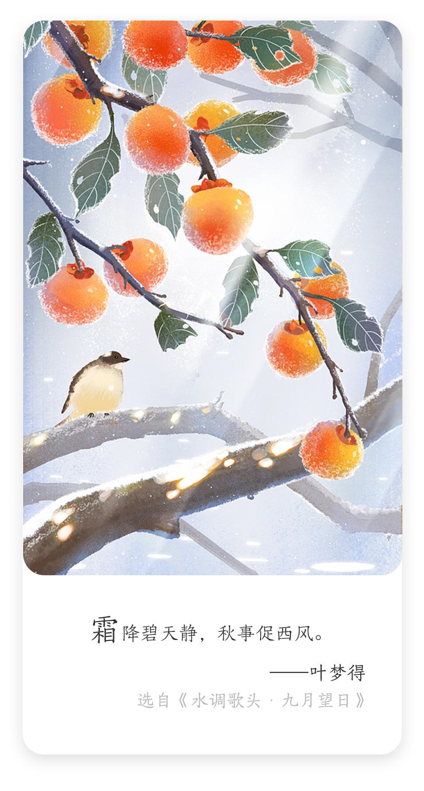 《画与真》笔尖蘸取初冬的冷白在宣纸上晕开枝头的灯笼霜花是留白的呼吸鸟雀凝