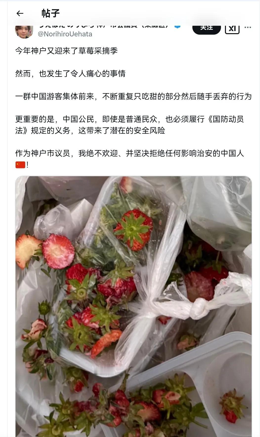 中国游客在国外只吃草莓尖尖，当地议员吐槽会带来潜在安全风险，影响治安。他说这是