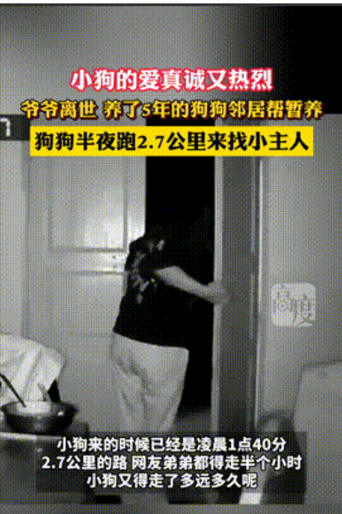 “万物皆有灵！”近日，四川一女孩半夜被狗叫声吵醒，开门后发现是爷爷生前养的小狗，
