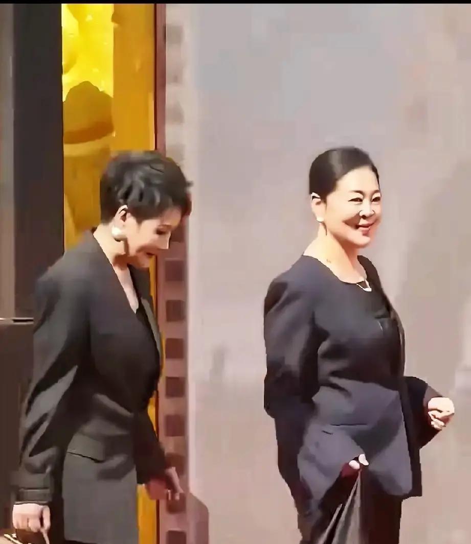 倪萍和张凯丽同台，这画面太有冲击力了！一个踉跄，一个挺拔，全是细节。说真的，