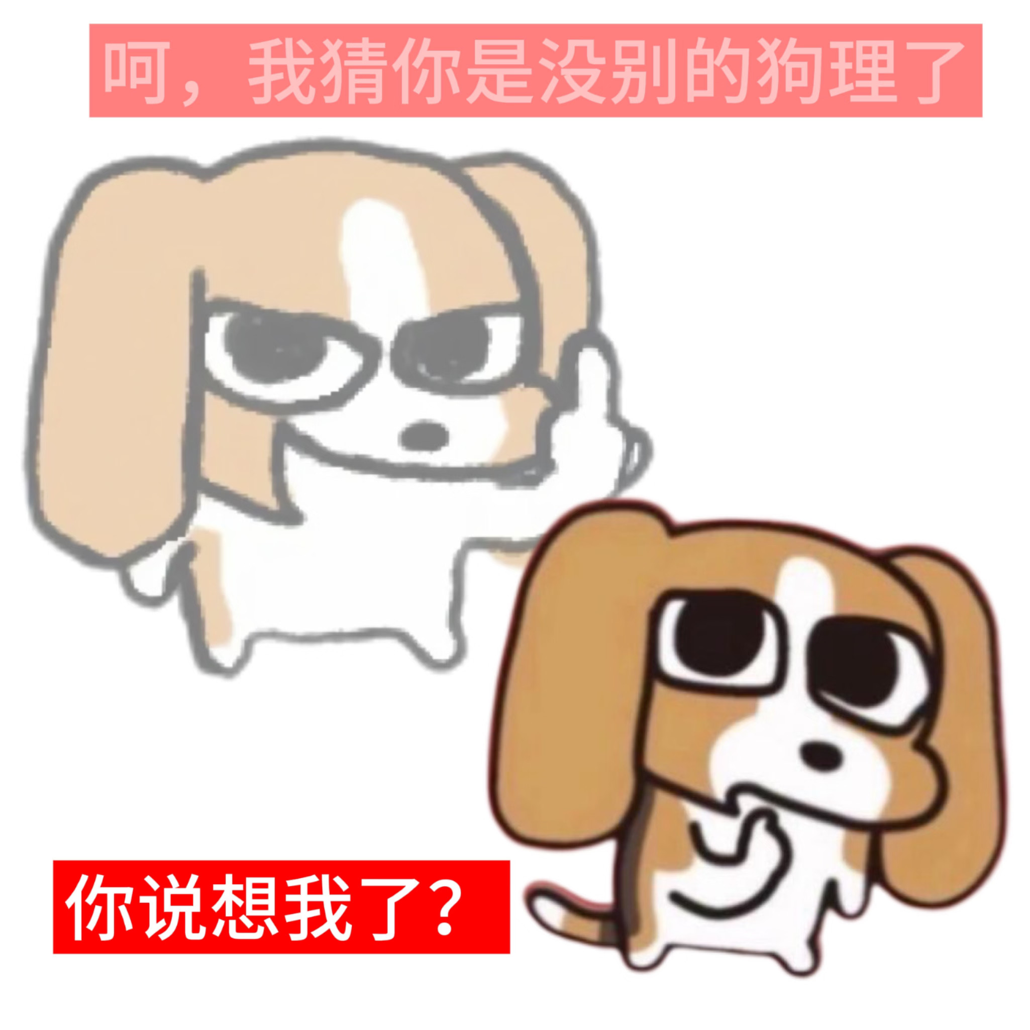 最不吃压力之狗