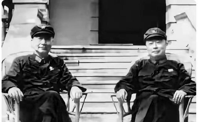 1971年，被癌症折磨的陈毅元帅，对聂荣臻元帅缓缓道：“从军已四十五载，你我拍