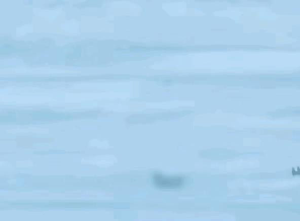 美军其实现在充当了解放军练兵的磨刀石，海空军一直是美军的强项和优势，在实战经验和