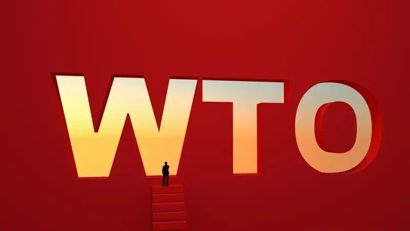 这事儿闹得挺大，中国在WTO说“不再主动要求新的特殊与差别待遇”，结果被美欧部分