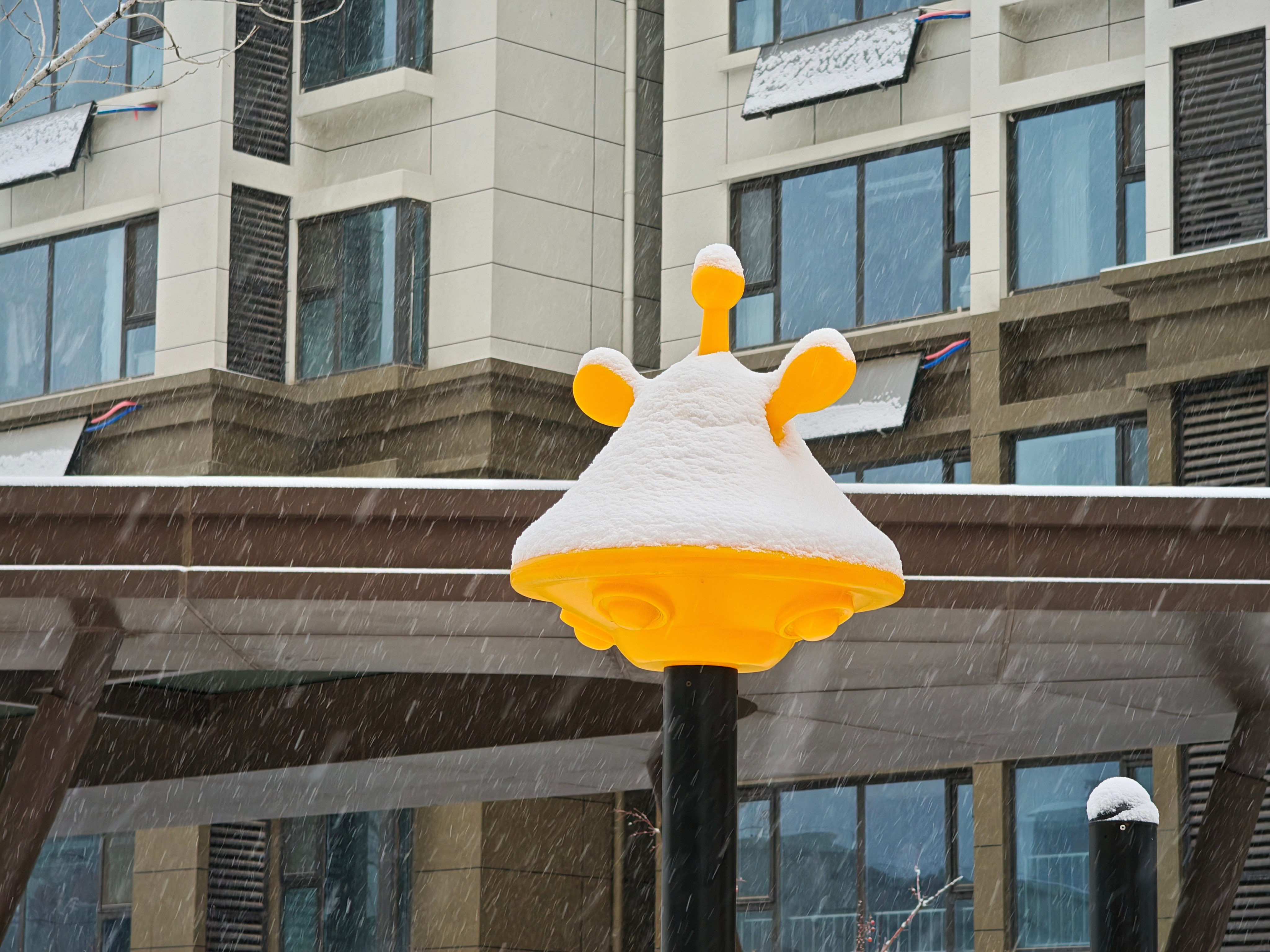 出去踩了踩雪，石家庄好久没有这么大的雪了，下了一天了。