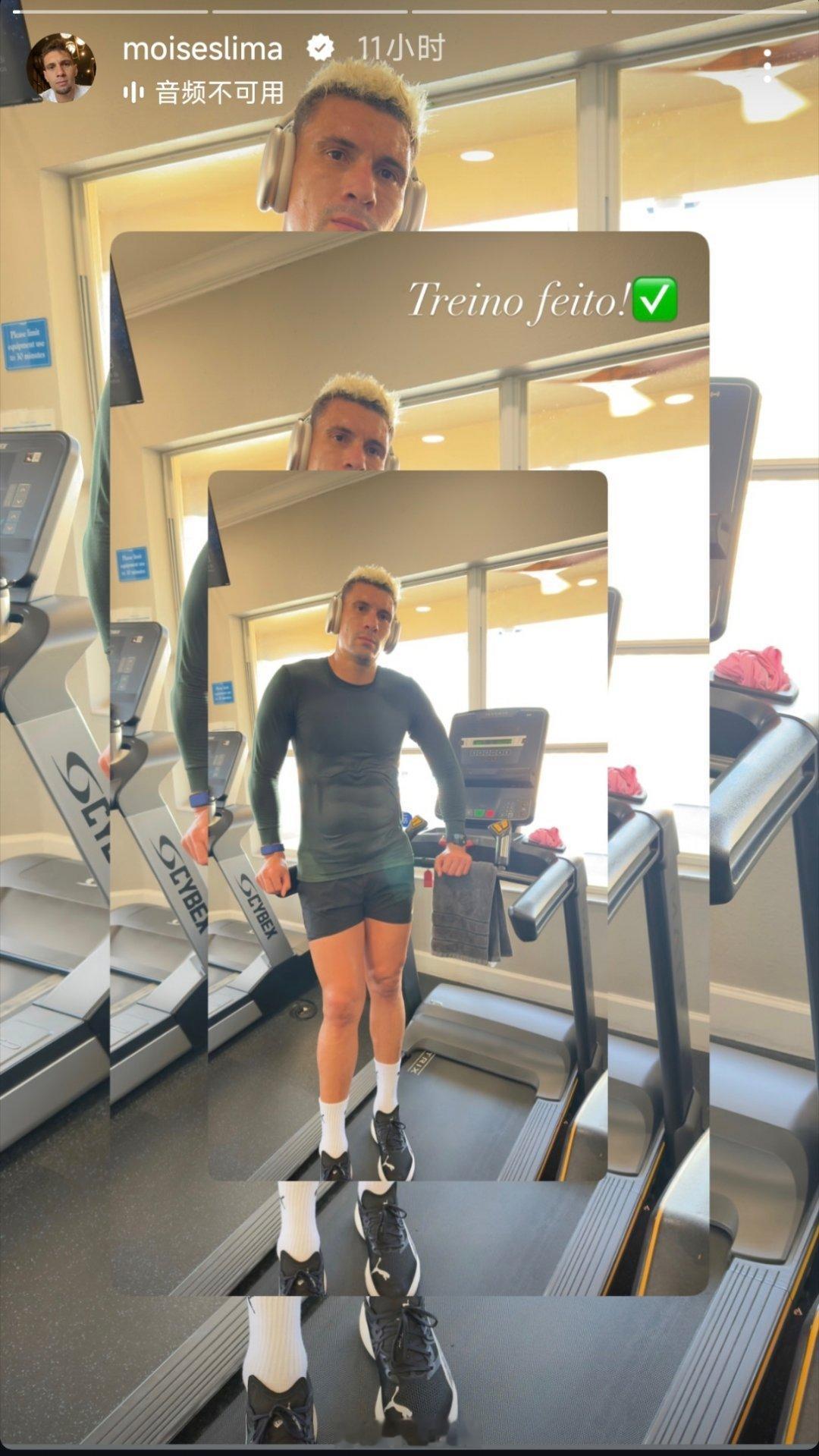 莫伊塞斯动态自由橙山东泰山