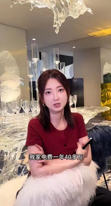 浙江33岁一女子家一年电费竟然高达44万，直接惊动了当地的电力局。看完她家，全网