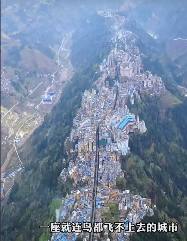 山顶上的一幕，不得不承认，太壮观了吧[点赞][点赞][点赞]