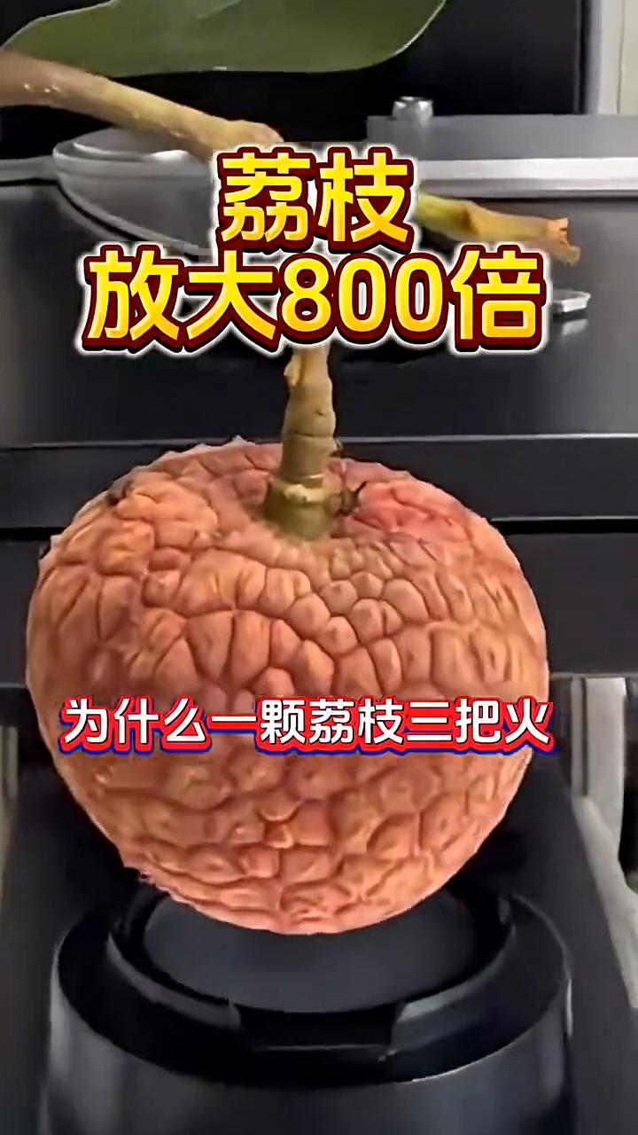 荔枝放大800倍。为什么一颗荔枝三把火？吃荔枝会上火，竟然是缺少维生素。有粉丝