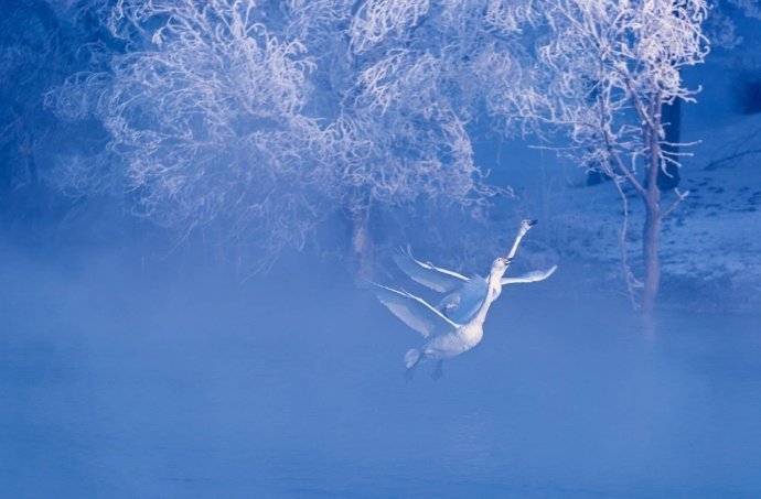 新疆伊犁天鹅湖，像是画里的景象！