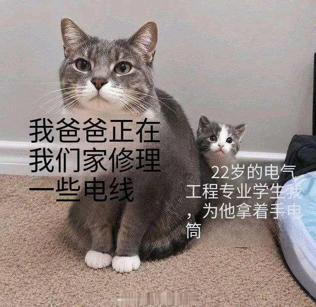 网友投稿图片选集