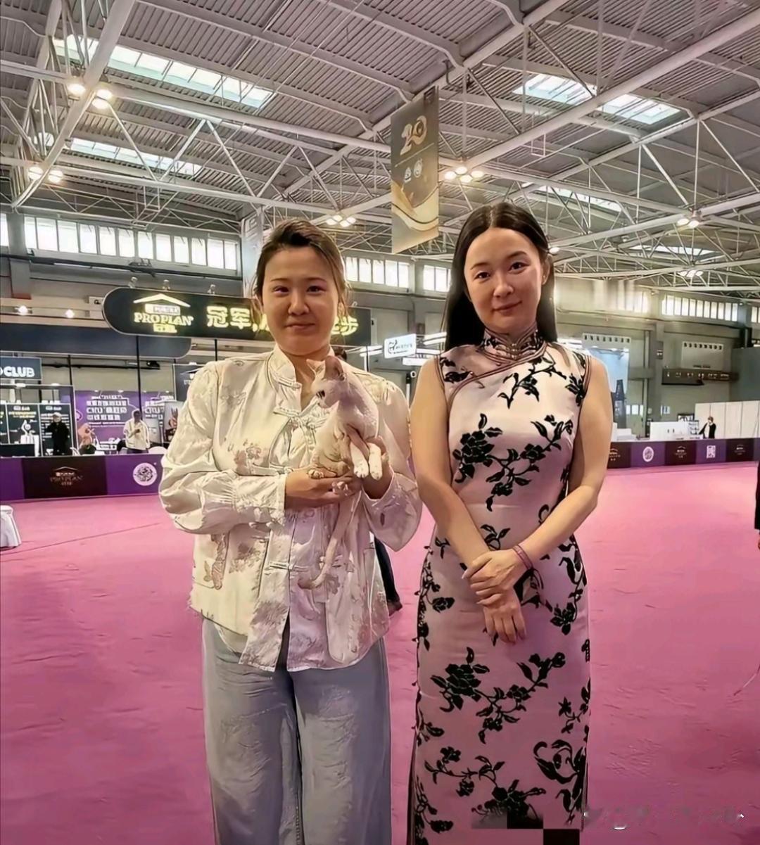 霍思燕的大妈感上来了。