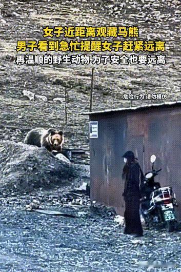 真是作死！2026年2月6日，西藏一男子野外游玩，亲眼撞见奇葩一幕，一名女子居然