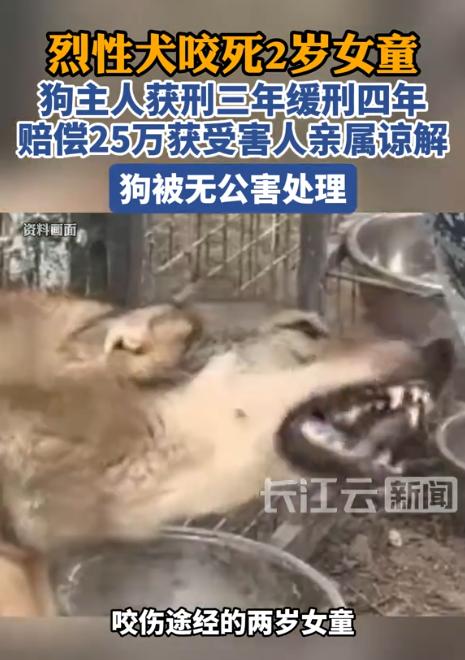 “必须严惩狗主人！”河南汝州，一男子养了条烈性犬，但却不好好管束，导致一名2岁女