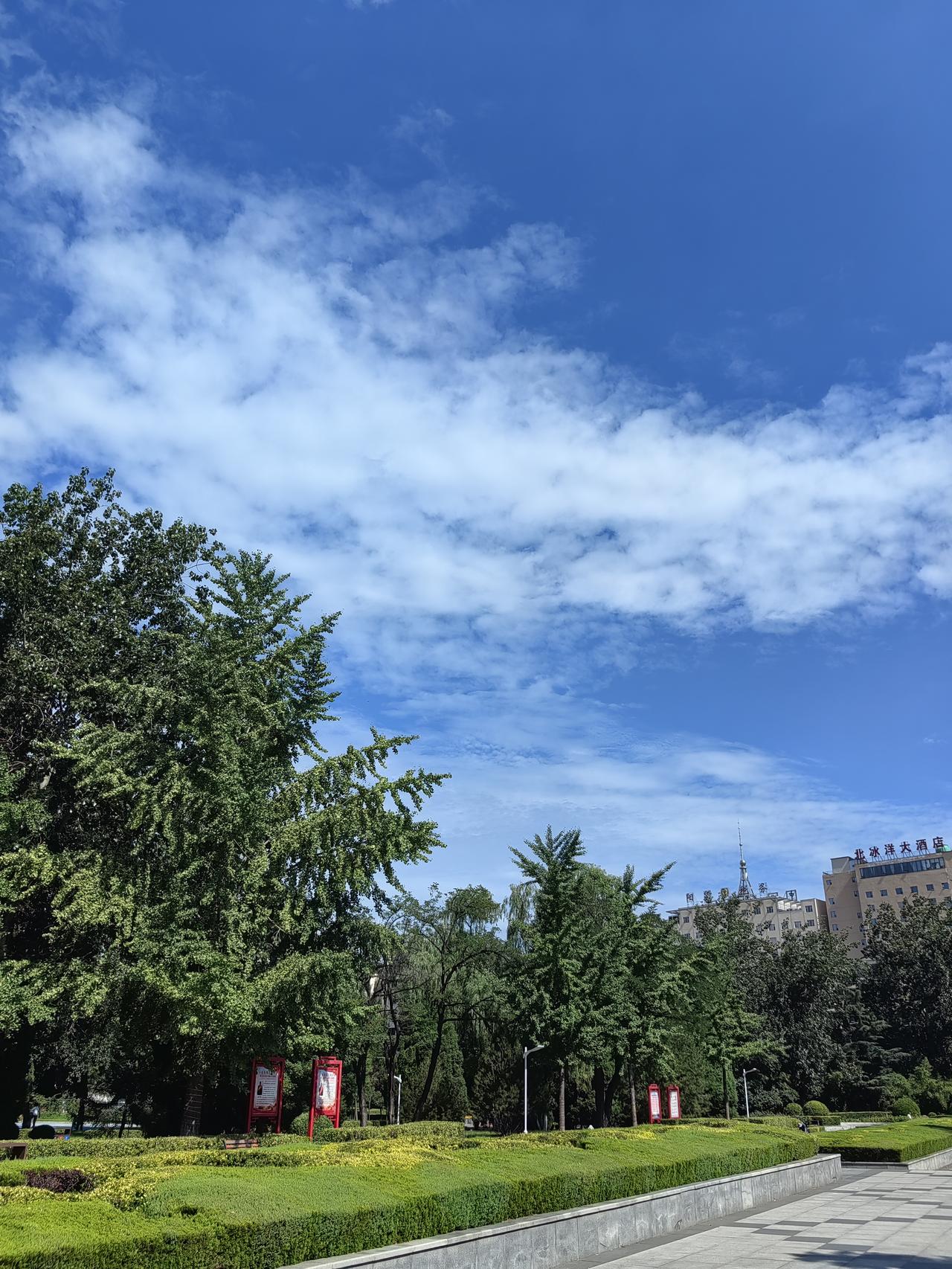 加班累得像条狗，站了整整一天，这一天疲惫至极。夜晚时分，冷风吹过，浑身疲惫不堪。