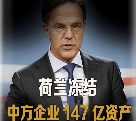 全世界都在看中国这次如何反制荷兰，因为荷兰的行为，就跟明抢是一样的。而荷兰扎根在