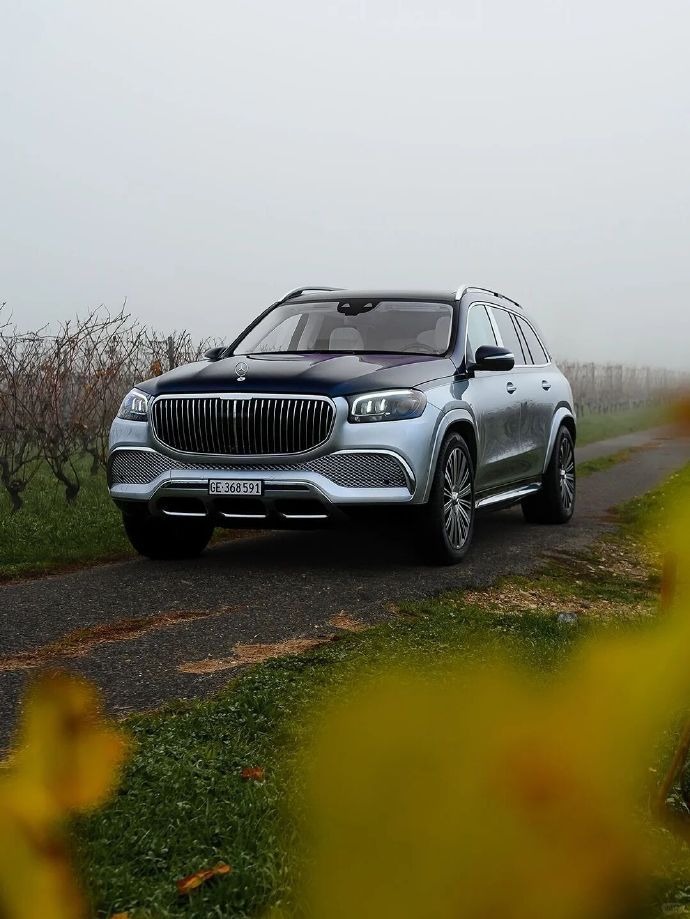 全球限量100台，奔驰GLS迈巴赫Edition100！这台奔驰迈巴赫GLS6