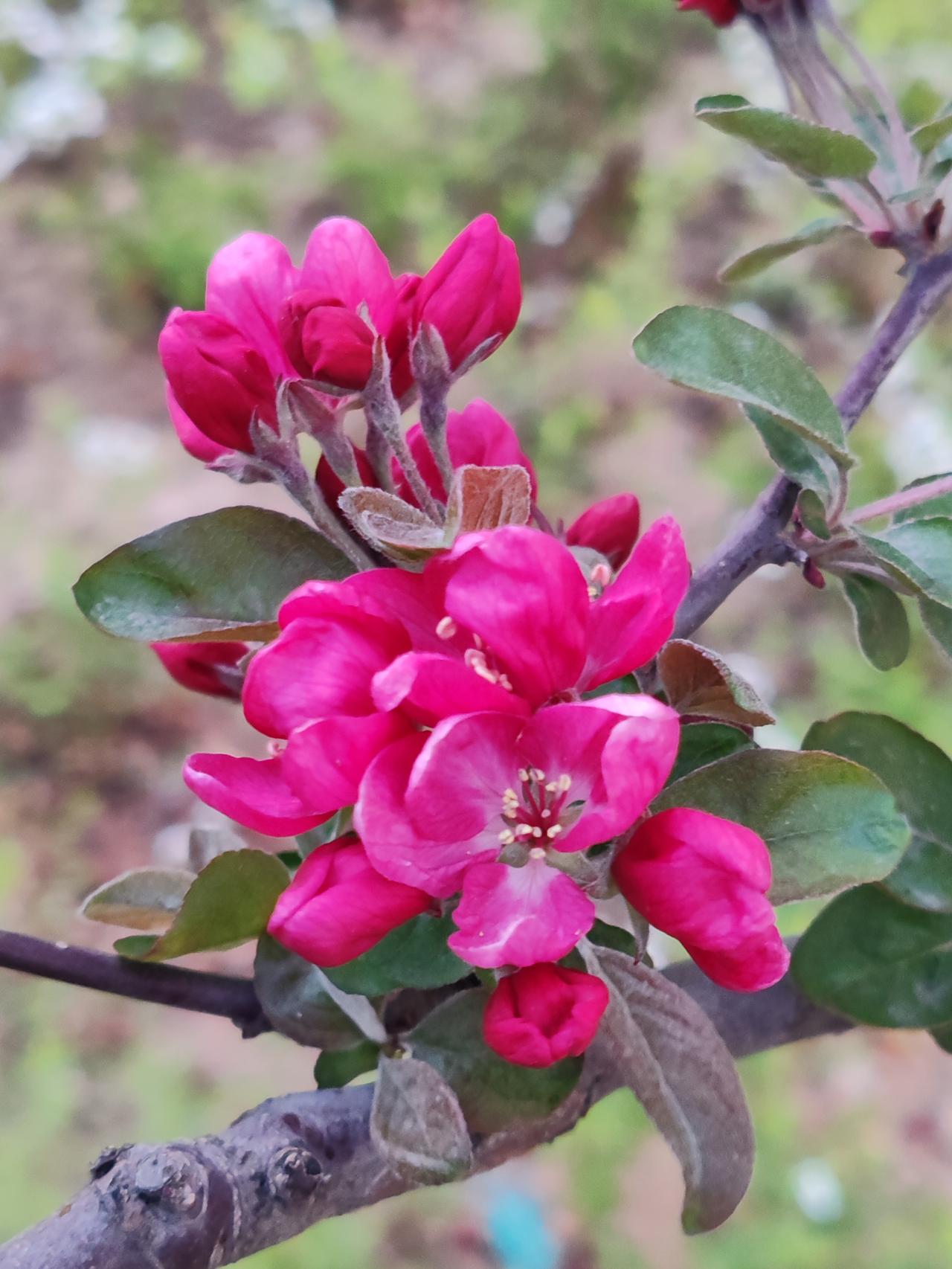 人老了，心宽至关重要，这是老人长寿的秘诀之一。人到老年，心力衰退，想要改变什么已