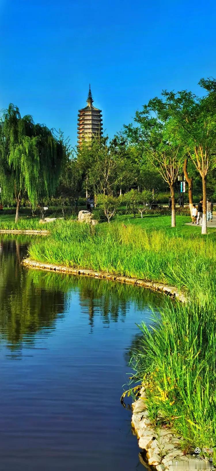 北京西海子公园，塔、桥、荷之影共映一池。燃灯塔矗立千年，看尽通州沧桑；石桥横卧碧