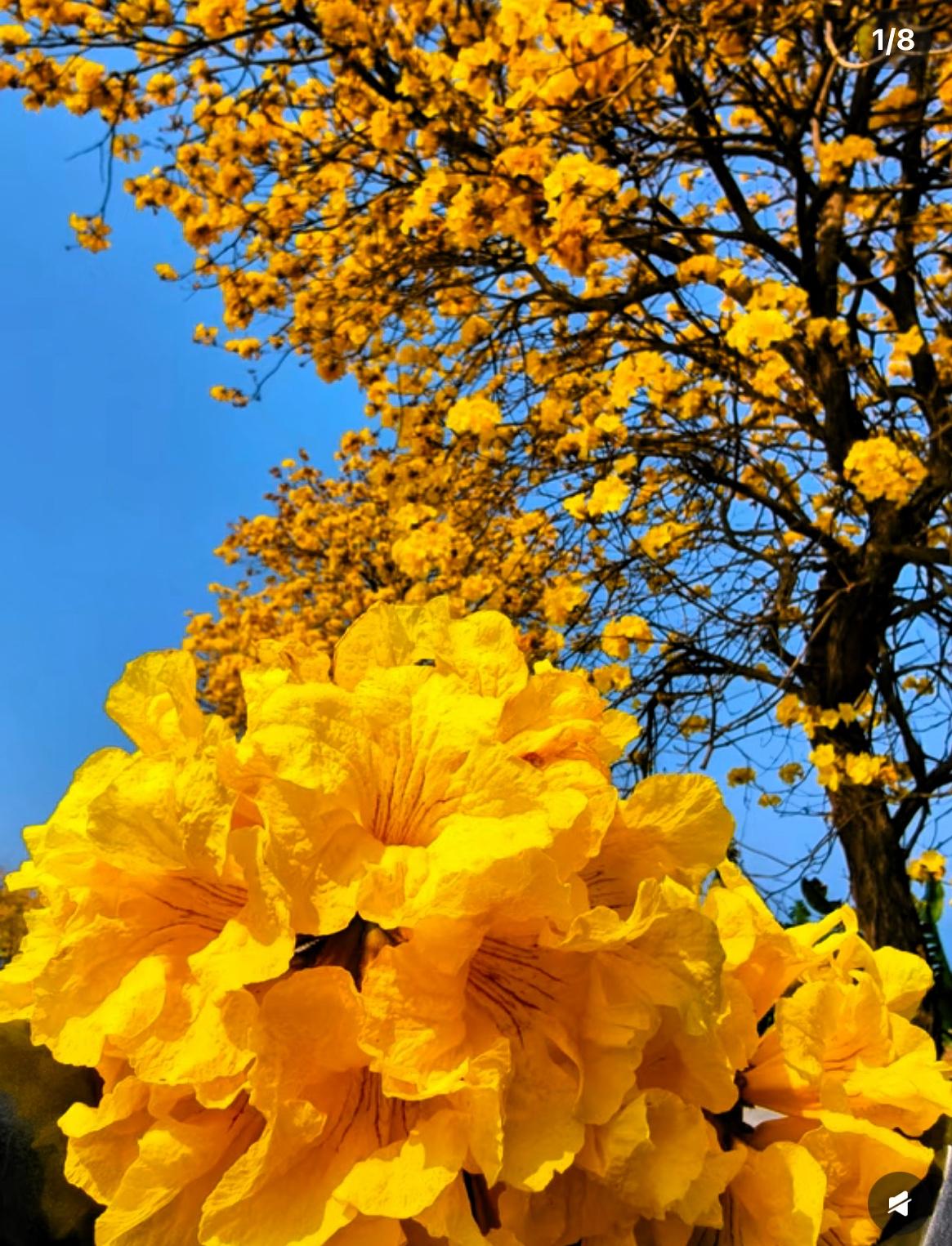 问全天下女人一个问题，摸着良心说，不许说谎。如果你的男人背叛了你，在外面有了别