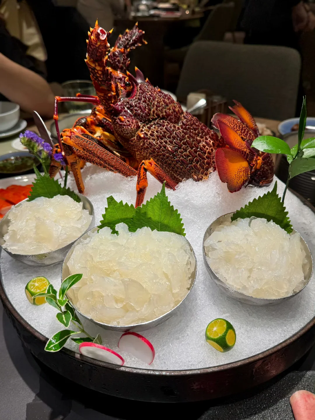 你们吃龙虾都是什么季节？🦞🦞