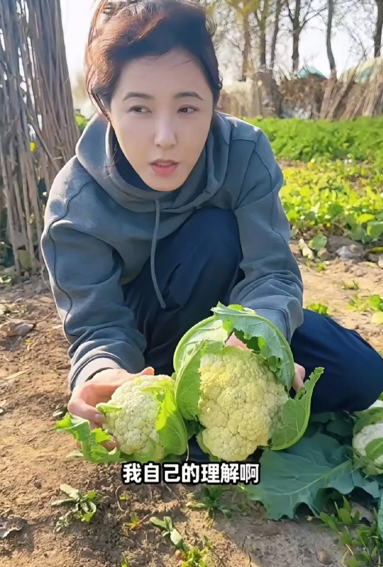 不恋爱不结婚不要孩子，年过半百的女人在想什么？49岁的曾黎告诉你，只要自己能赚