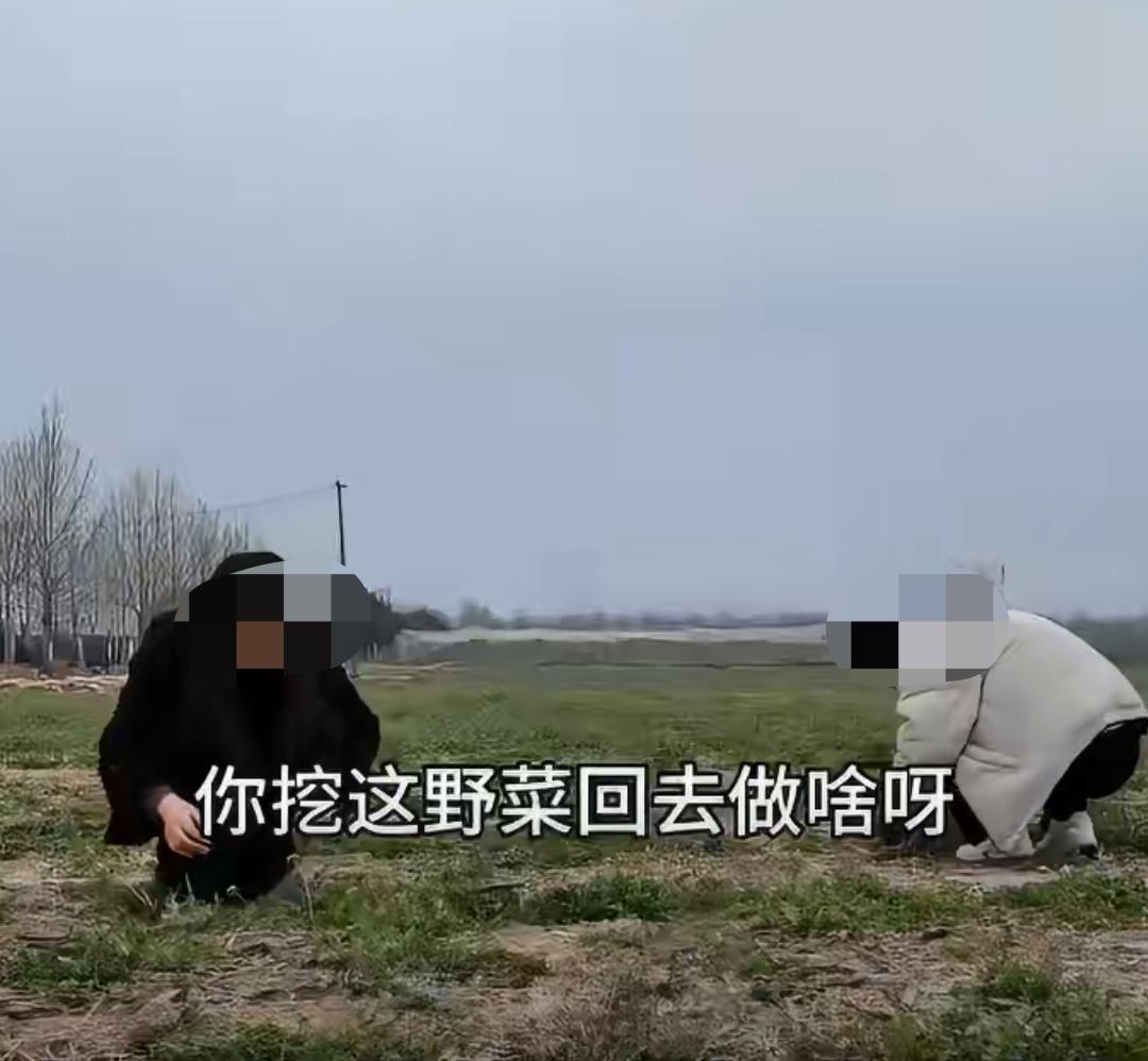 离谱！现在相亲都不样了，不再是商场、电影院了，近日，陕西咸阳一位女孩分享自