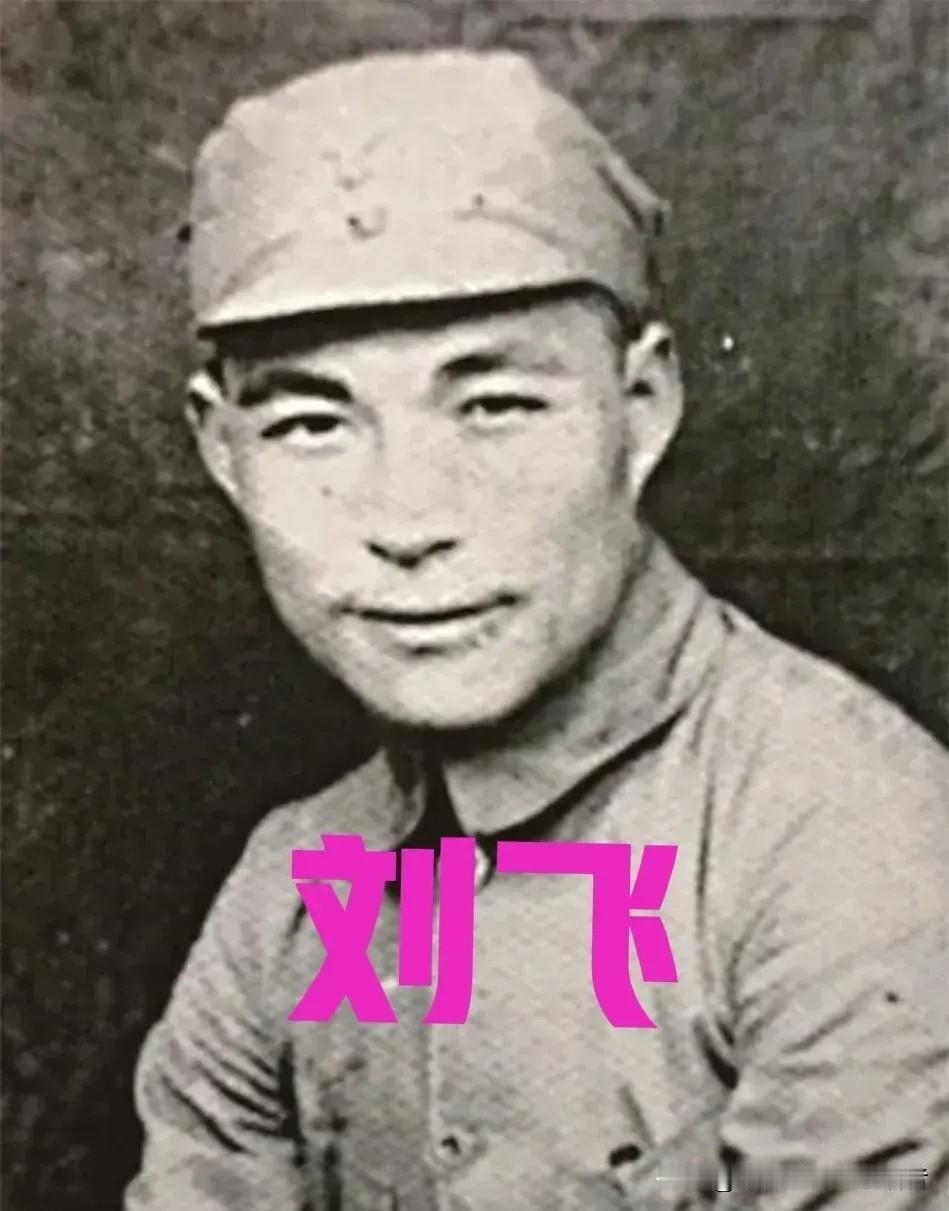 1945年，新四军旅长刘飞打了一次胜仗，抓了几个日本俘虏，突然，他看俘虏中有一