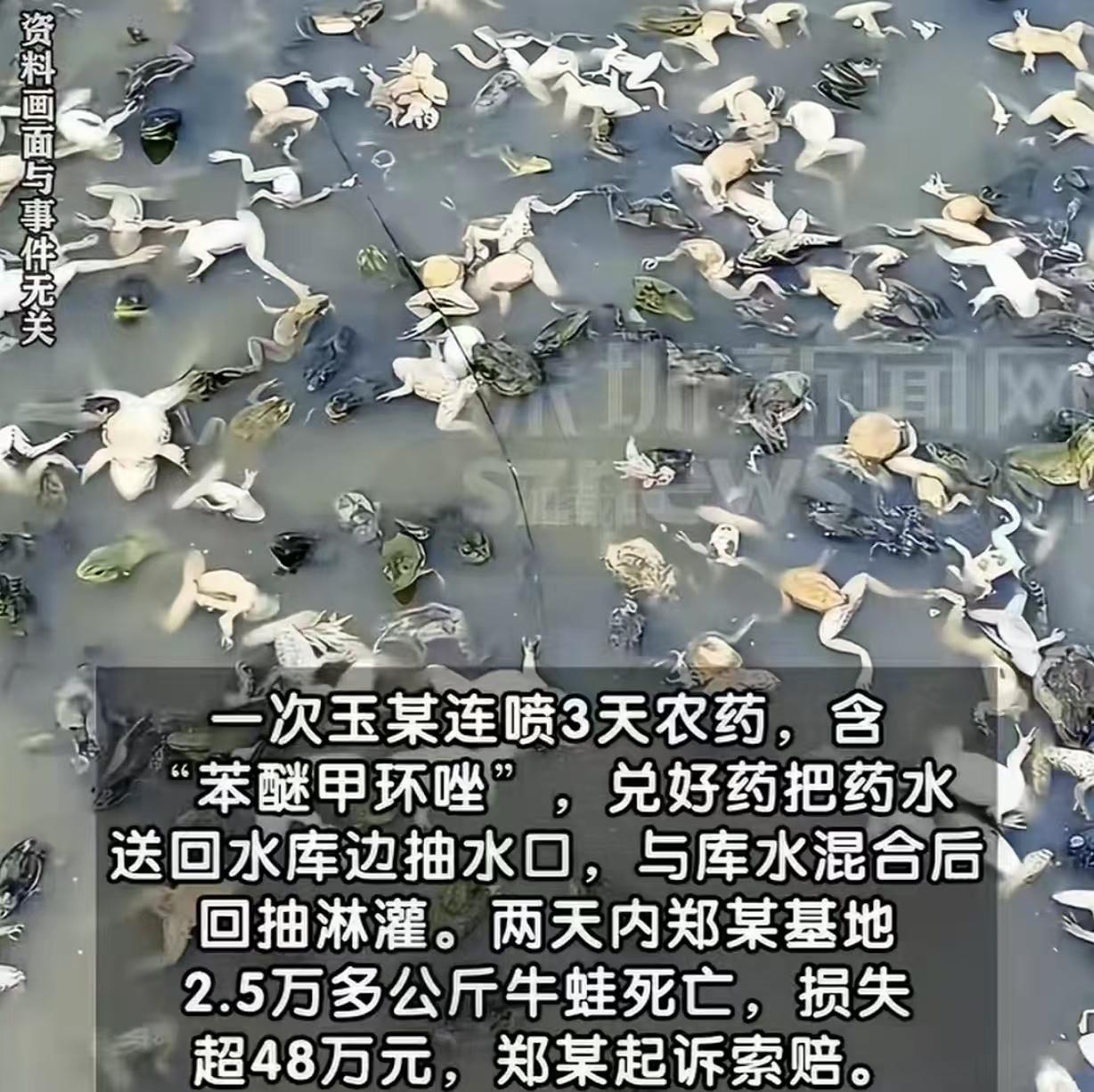 广西崇左，一男子种香蕉，连着3天给香蕉地喷农药。结果，他把邻居家2.5万公斤牛蛙