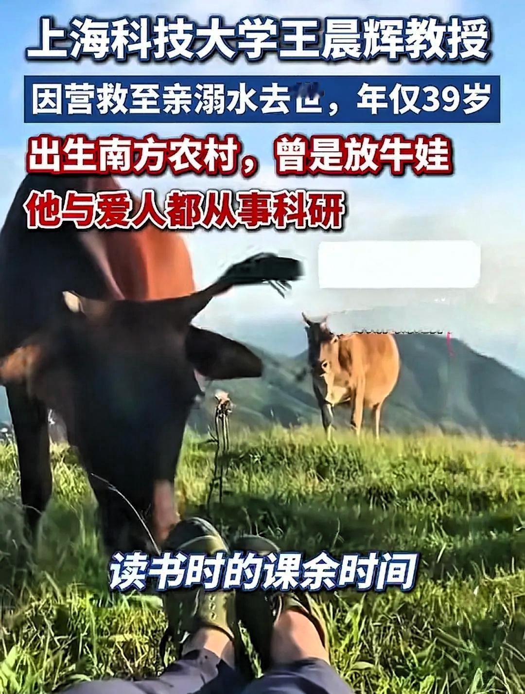 “悲剧还是发生了！”近日，39岁上海科大王晨辉教授，带7岁儿子回家过节，孩子在河