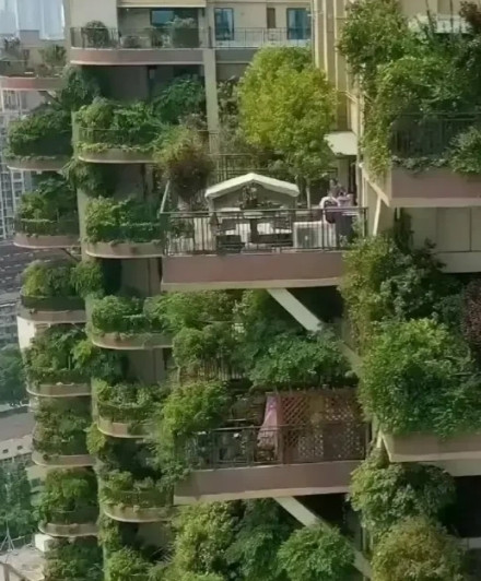 就是人人梦寐以求的房子啊。[捂脸哭][捂脸哭][捂脸哭]