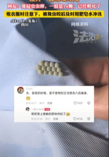 汗毛要竖起来了！四川，女子将晒在外面的衣服收到屋里，不料穿上干净的内衣后一直觉得
