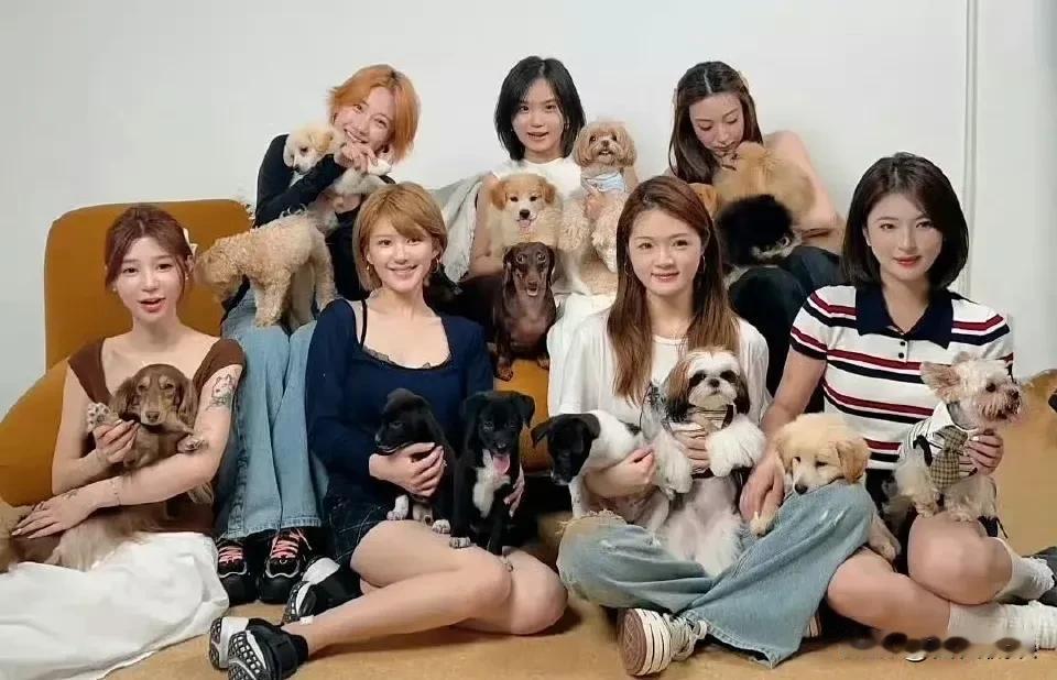 搞不懂赵露思为什么非要和网红混在一起，明明不是一个圈子里的人，有种非要挤进去的感