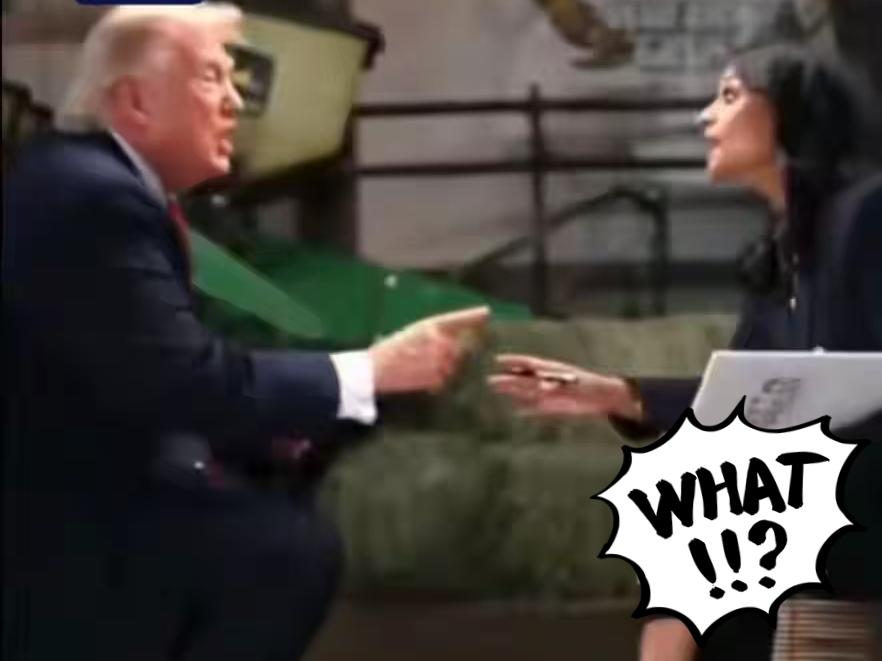 这次特朗普摔麦离场，应该支持特朗普？女记者反而应该反思反思？坐在她对面的，不仅是