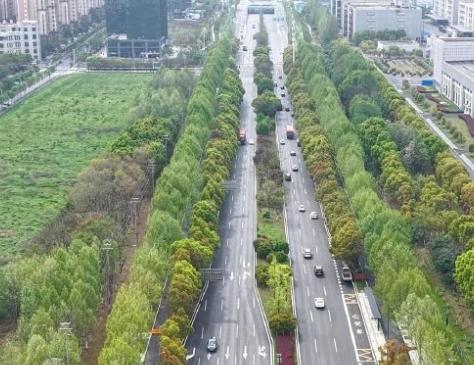 通车放行！[鼓掌]涉及合肥一主干道！从高新区了解到，习友路（科学