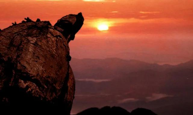 麻城龟峰山赏花｜高铁+自驾都直达！门票+索道套票最省心现在来麻城看杜鹃，交