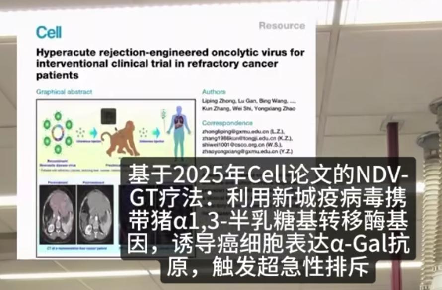 癌症细胞有救了！中国团队将癌细胞伪装成猪细胞，让自身免疫系统去攻击癌细胞！