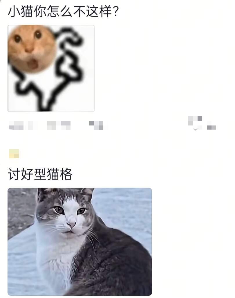 咪：不吃狗粮