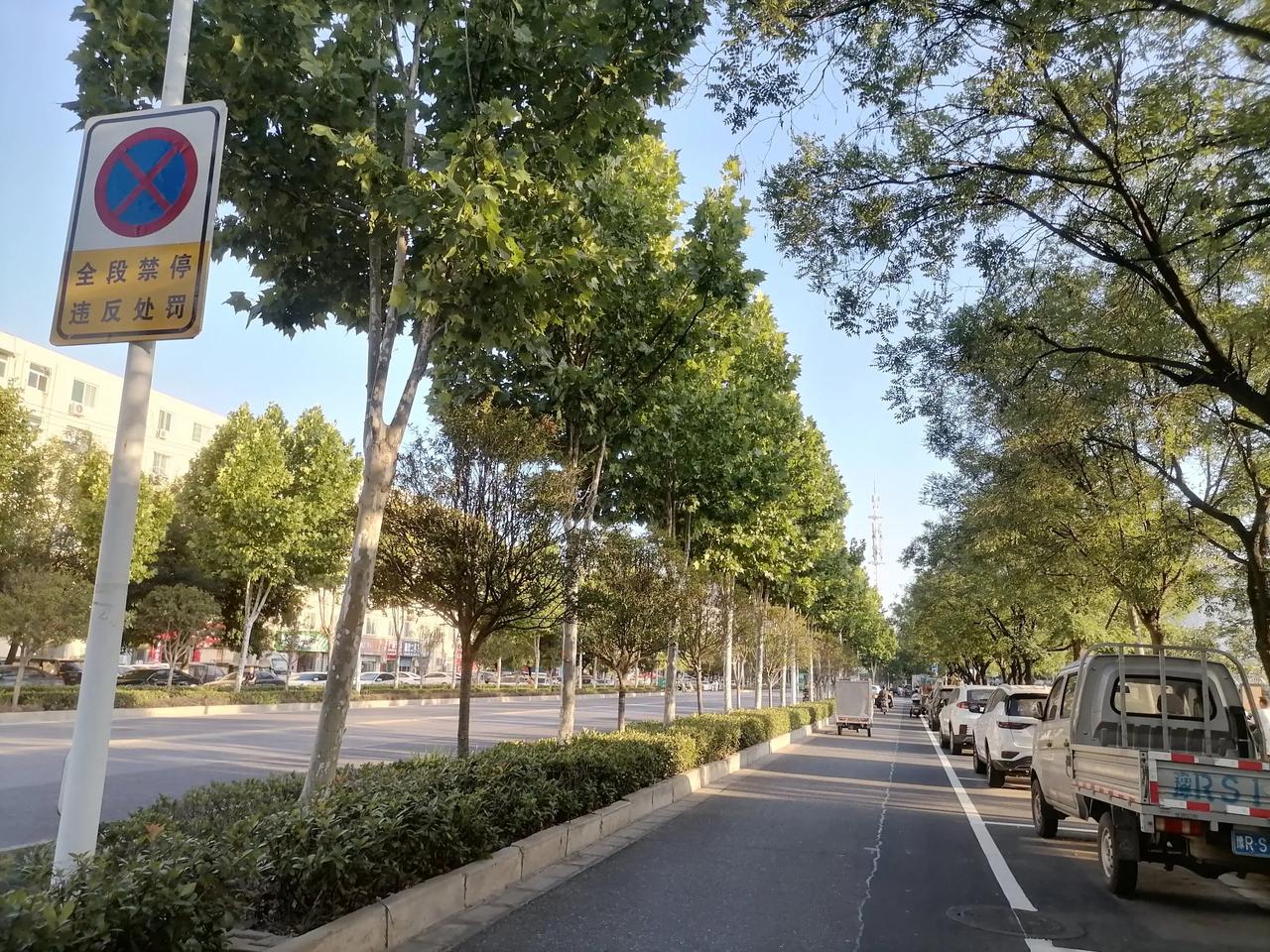 南阳城区“老头乐”逐步规范出行，电动两轮和三轮也将被“规范”，说起原因，主要是南