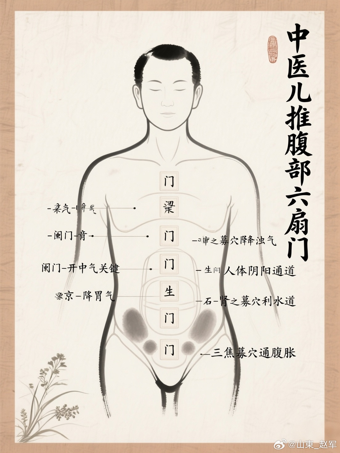 小儿腹部六扇门孩子脾胃弱、消化差、肚子胀，其实和腹部气机不通关系很大。咱们腹部