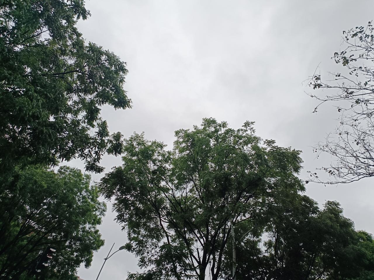 转眼确诊肺腺癌晚期已满两年，历经岁月打磨，心底渐渐生出一份从容又坚定的决绝。